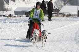 Lenk 2012 SM